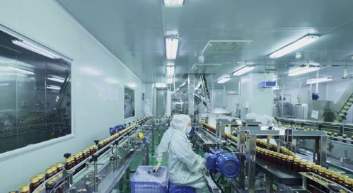 2026年揭秘 酵素飲制造企業(yè)如何玩轉(zhuǎn)健康新潮流——技術(shù)交流深度解析