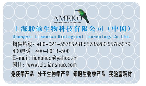 深度解析價(jià)格、采購、供應(yīng)商信息與技術(shù)交流的關(guān)聯(lián)與策略