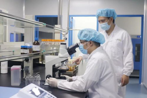 煉就一雙慧眼 寶山環上大科技園如何加速實現從1到10的技術服務突破